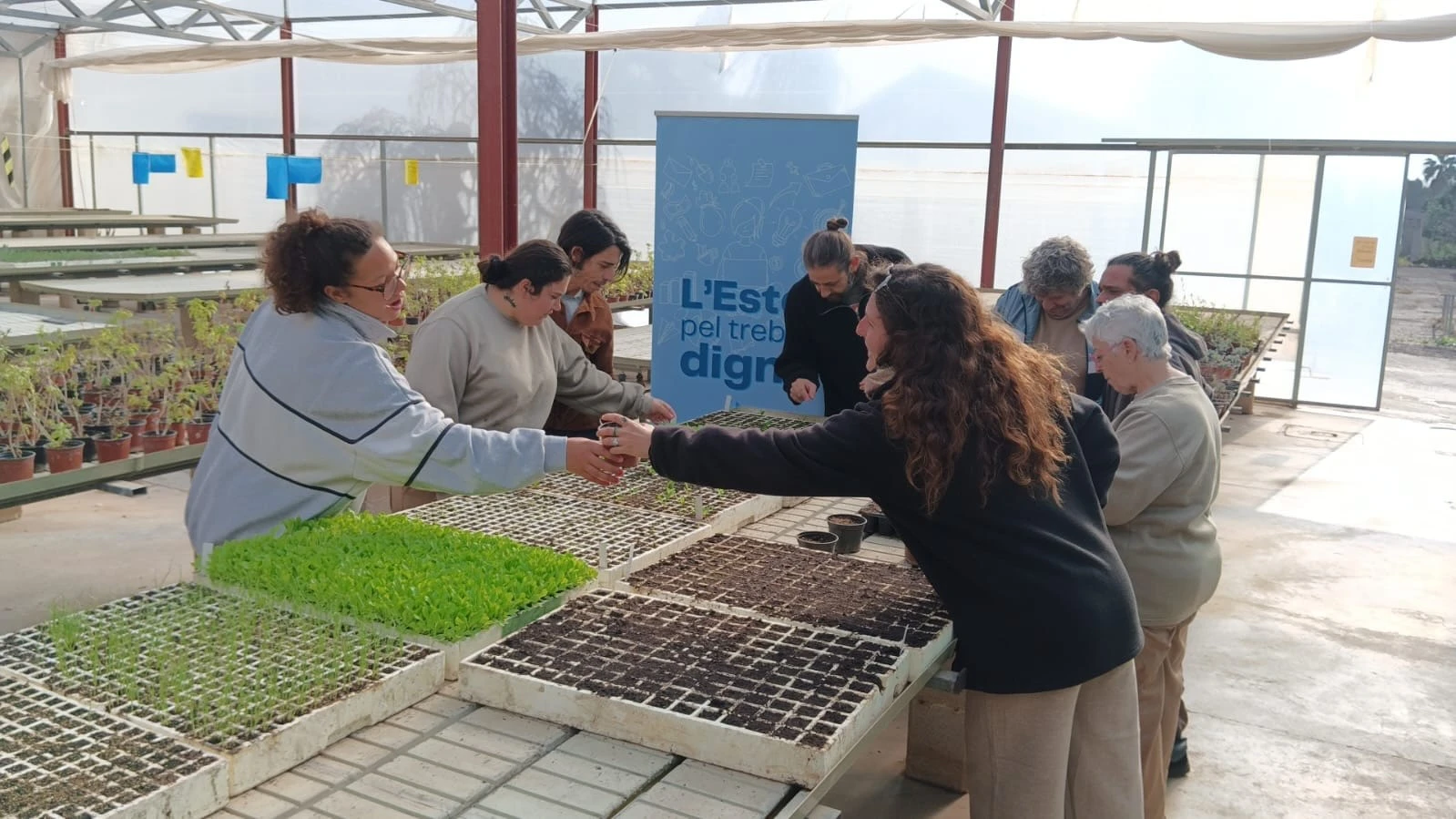300 persones han millorat el seu benestar emocional gràcies als tres projectes d’IRPF d’Estel de Llevant durant 2025